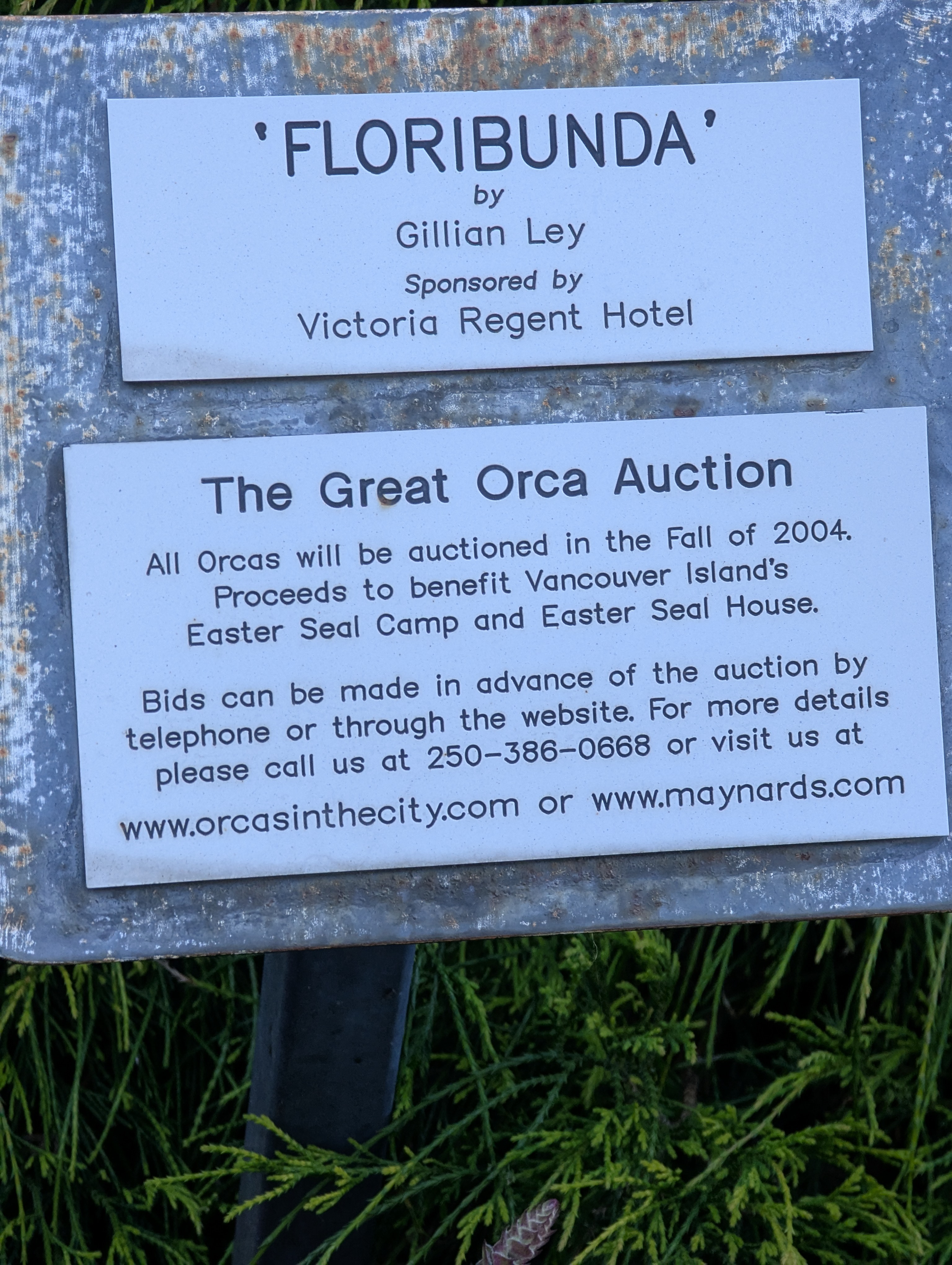 Birthday Trip to Canada, Victoria, Vancouver Island, British Columbia